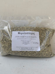 Fennel Seeds 1 Kg Health Trade Bio