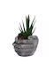 Artificial Decorative Aloe Potted Hugging Hand