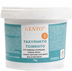 5kg Rapid Setting Gray Cement Gento 5kg Rapid Setting Gray Cement Gento
