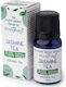 Stamford London Ätherisches Öl Jasmin 10ml