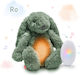 Zazu Ro Bunny Sleep Aid Rechargeable 10 White Sounds Cry Green