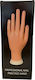 Beauty Salon Beauty Training Hand