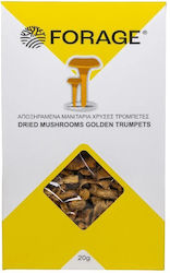 Forage Μανιτάρια 20gr Forage Μανιτάρια 20gr