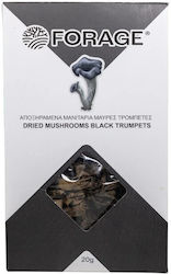 Forage Mushrooms 20gr