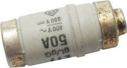 Ασφαλεια Τηξεως Φυσιγγι Neozed 50a D02