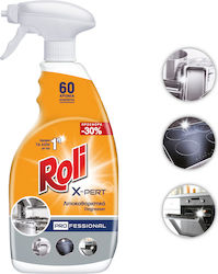 Roli Επαγγελματικό Καθαριστικό Spray Γενικής Χρήσης 600ml Roli Επαγγελματικό Καθαριστικό Spray Γενικής Χρήσης 600ml