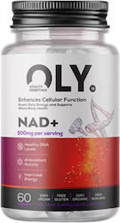 Oly NAD+ 500mg 60 κάψουλες
