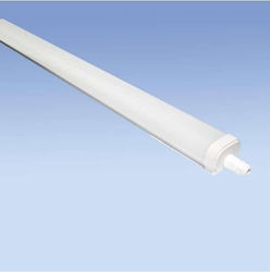 LED Tri-proof Light 1.2m 30W 4000K IP65 Water & Dust Resistant LED Tri-proof Light 1.2m 30W 4000K IP65 Water & Dust Resistant