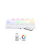 Securit Decorative Lamp Tealight Multicolour 12pcs