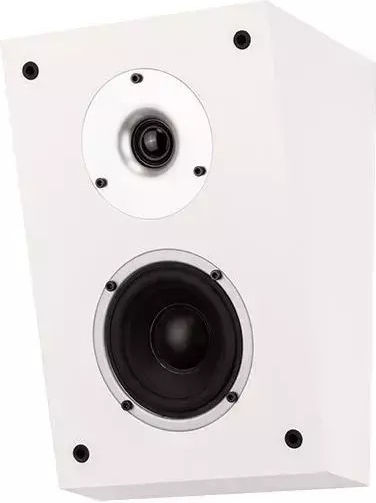 Wilson Raptor X Комплект Пасивни Hi-Fi Тонколони Bookself 100W Ш27.8xД15xВ19.5см Черни