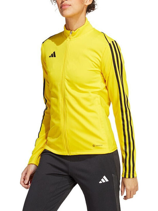adidas adidas