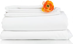 Hotelsheet Weiß 200t Baumwolle 180x260 Hotelsheet Weiß 200t Baumwolle 180x260