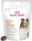 Royal Canin Skin & Coat Chews Oil Dietary Supplement for Dogs for Skin & Hair