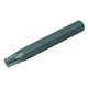 Langer Torx-Bit-Steckschlüssel T50