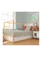 Dimcol Baby Cotton Pillowcase Multicolour 45x35cm