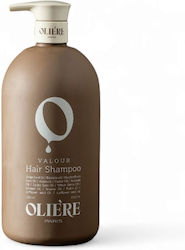 Oliere Shampoo Hydratation 500ml Oliere Shampoo Hydratation 500ml
