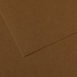 Χαρτι Canson Mi-teintes Α4 501 Tobacco