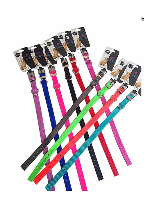 Pet Camelot Einzelriemen-Halsband Orange 25mmx60cm