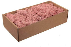 Norwegisches Moosgras 500g Pink