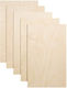 Birch Marine Plywood 21mm 22x30 cm