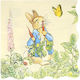 Peter Rabbit In Garden Χαρτοπετσέτα Μεγάλη Meri Meri 16 Τεμ