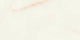 Rollza Floor Interior Matte Tile 120x60cm Beige