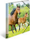 Ντοσιέ Λάστιχο Pp Herma A4 Horses 7140