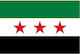 Flag Polyester Perforated 25x18cm