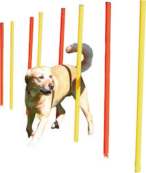 Dog Training Gymnastics Slalom Agility Height 100cm