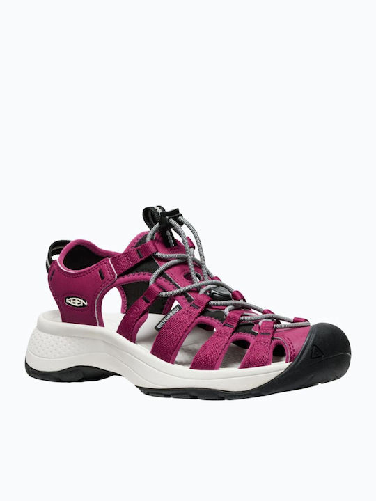 Astoria West Γυναικεία Σανδάλια Sporty Ροζ
