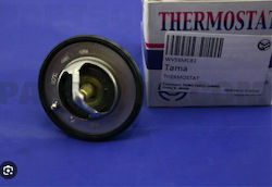 Thermostat 56mm Doppel Mitsubishi Tama Wv56mc-82
