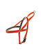 Ferribiella Norwegisches Hundegeschirr Typ M: 2 cm x 58-76 cm