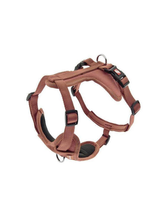 Cesare Harness Brown S: 1.5cm Neck 33-52cm Ches...