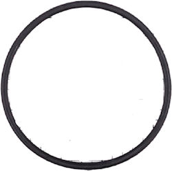 Ελαστικός Δακτύλιος O Ring D 151.7 X 6.99 44050101078 Astralpool Ελαστικός Δακτύλιος O Ring D 151.7 X 6.99 44050101078 Astralpool