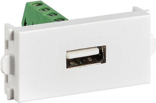 Roline Module Connector 25.99.8204 1x Usb Female 1 Pc