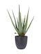 Künstliche Aloe-Pflanze im Topf 45 cm hoch grün naturgetreue Dekoration