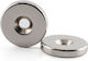 Runder Magnet 1,5 cm 10 Stück