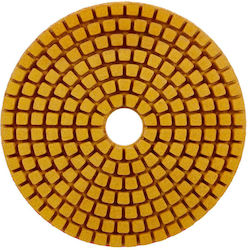 Distar Standard Diamond Polishing Disc 100mm P220