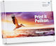 Pelikan B C M Y Compatible Toner for Laser Printer Brother LC970 Multicolour