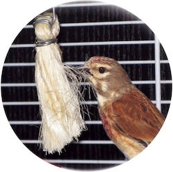 Fibră de sisal antistres Fibră de sisal antistres