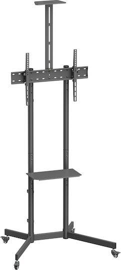 Brateck DTM-T1042T TV Mount Floor up to 70" and 45kg Silver