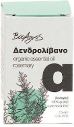 Vio Agros Biologisch Ätherisches Öl Rosemary 10ml Vio Agros Biologisch Ätherisches Öl Rosemary 10ml