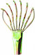 Cap Trident Xifias 413 cu 6 Vârfuri 6mm