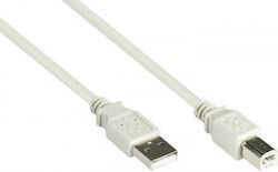 Good Connections 2510-025 USB 2.0 USB-A Male to USB-B Male Gray 0.25m