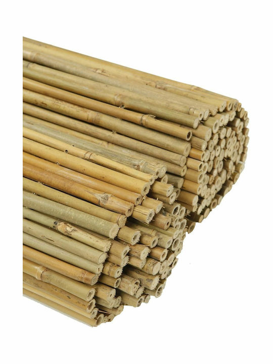 Ra-Ba Καλαμωτή με Ολόκληρο Καλάμι 2.5x3m
