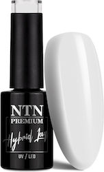 NTN Premium Gel Nail Polish 35 Milk 5gr