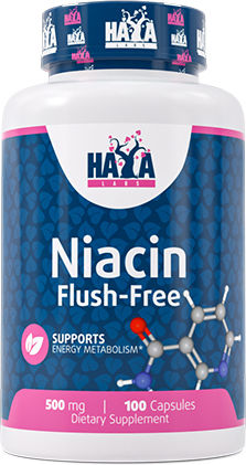 Haya Labs Niacin 500mg Συμπλήρωμα για το Άγχος 100 κάψουλες