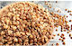 HealthTrade Δημητριακά Φαγόπυρου 1000gr