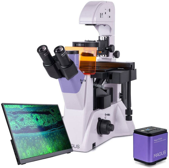 Флуоресцентен тринокулярен инвертиран дигитален микроскоп Magus Lum Vd500 LCD 100-400x оптично увеличение 30 мм диаметър на окулярната тръба халогенно флуоресцентно осветление Magus Chd40 дигитална камера Magus Mcd40 LCD монитор