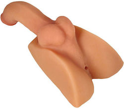 Male Masturbator Butt